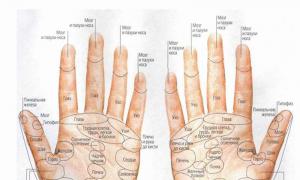 Пальцевой массаж – торможение и стимуляция Пальцевый массаж 5